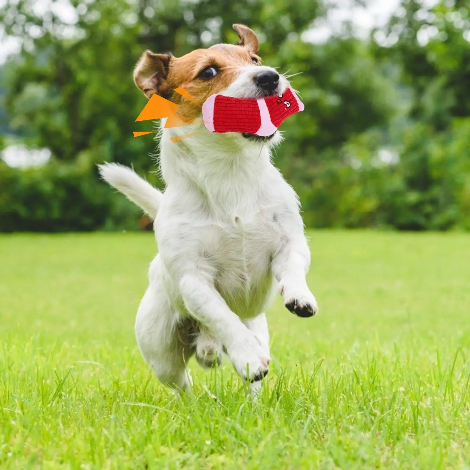 2Pcs Sound Toy Socks Red Plush Puppy Dog Toys BiteResistant Squeaky Indoor Pet Exercise Fun Accessories
2Pcs Sound Toy Socks Red Plush Puppy Dog Toys BiteResistant Squeaky Indoor Pet Exercise Fun Accessories