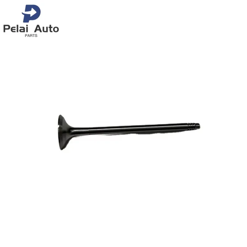 8pcs 11347583777 11347598273 Auto Engine Parts Engine Valve for BMW F07 N20 N20B20 2.0L N54 N55 Yabinna B3 (F30) BITURBO
8pcs 11347583777 11347598273 Auto Engine Parts Engine Valve for BMW F07 N20 N20B20 2.0L N54 N55 Yabinna B3 (F30) BITURBO