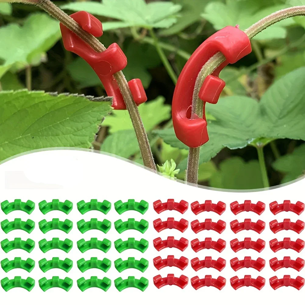 15pcs Plant Bending Clips,Training Clips For Plant, Plant Growth LowPressure Training Supplies Box cutter Hand tools Pipe bender
15pcs Plant Bending Clips,Training Clips For Plant, Plant Growth LowPressure Training Supplies Box cutter Hand tools Pipe bender