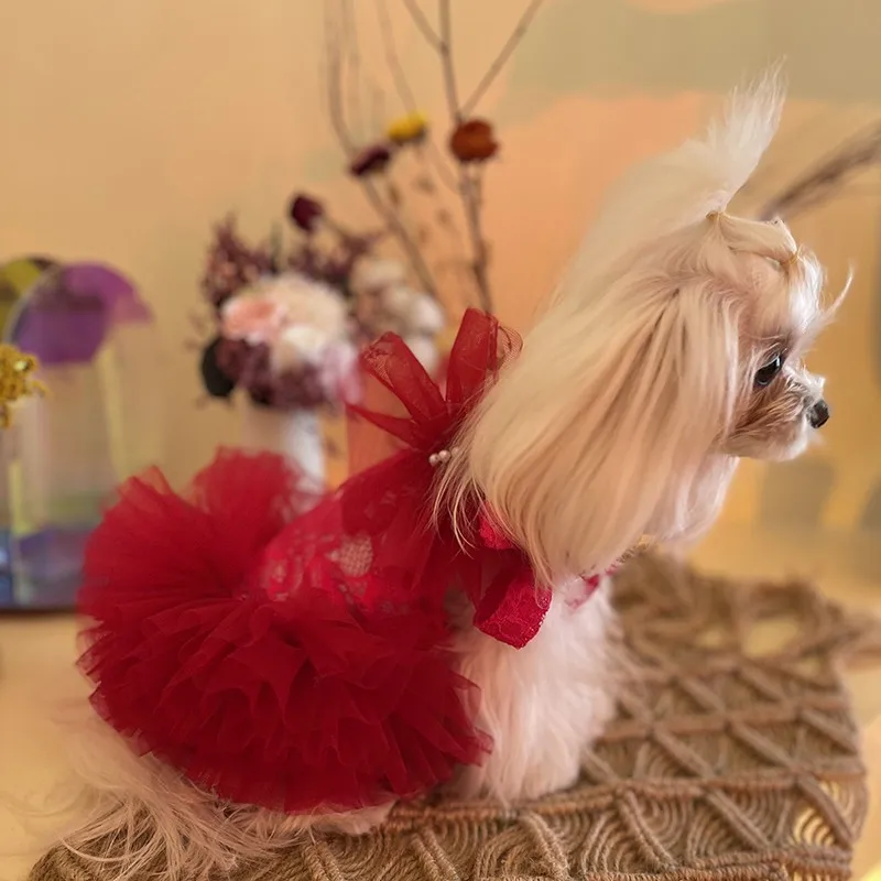 Handmade Dog Clothes Pet Supplies Sexy Lace Dress Red Carved Tulle Princess Tutu Ballet Bubble Skirt Bow Party Holiday One Piece
Handmade Dog Clothes Pet Supplies Sexy Lace Dress Red Carved Tulle Princess Tutu Ballet Bubble Skirt Bow Party Holiday One Piece