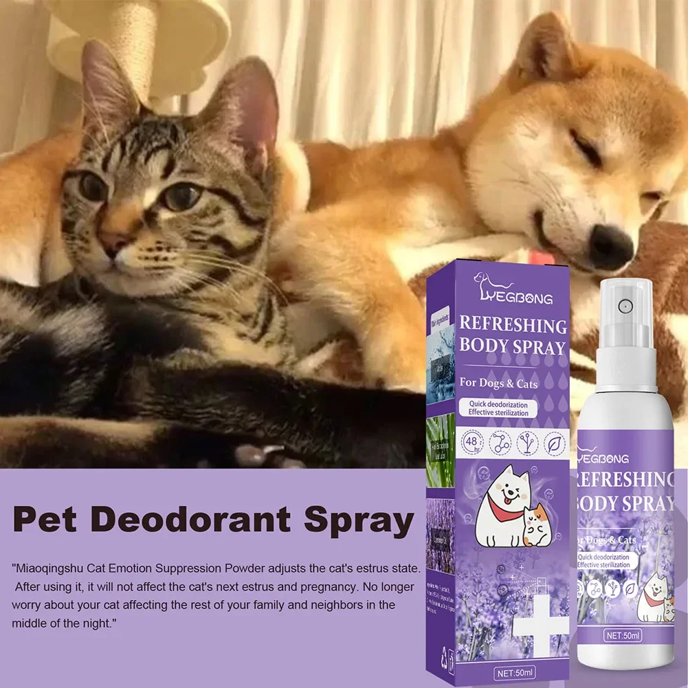 Lavender Oil Dog Deodorizer Spray Long Lasting Puppies Cats Dogs for Smelly Deodorizing Perfume Spray Remove Odor Freshing Air
Lavender Oil Dog Deodorizer Spray Long Lasting Puppies Cats Dogs for Smelly Deodorizing Perfume Spray Remove Odor Freshing Air