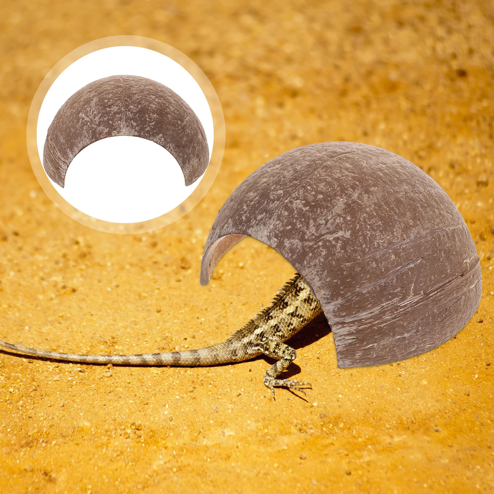 2Pcs Reptile Shelter Coconut Shell Hide Cave Small Hiding Place Reptile Box Ornament Tortoise Lizard Cave Tortoise Hiding Place
2Pcs Reptile Shelter Coconut Shell Hide Cave Small Hiding Place Reptile Box Ornament Tortoise Lizard Cave Tortoise Hiding Place