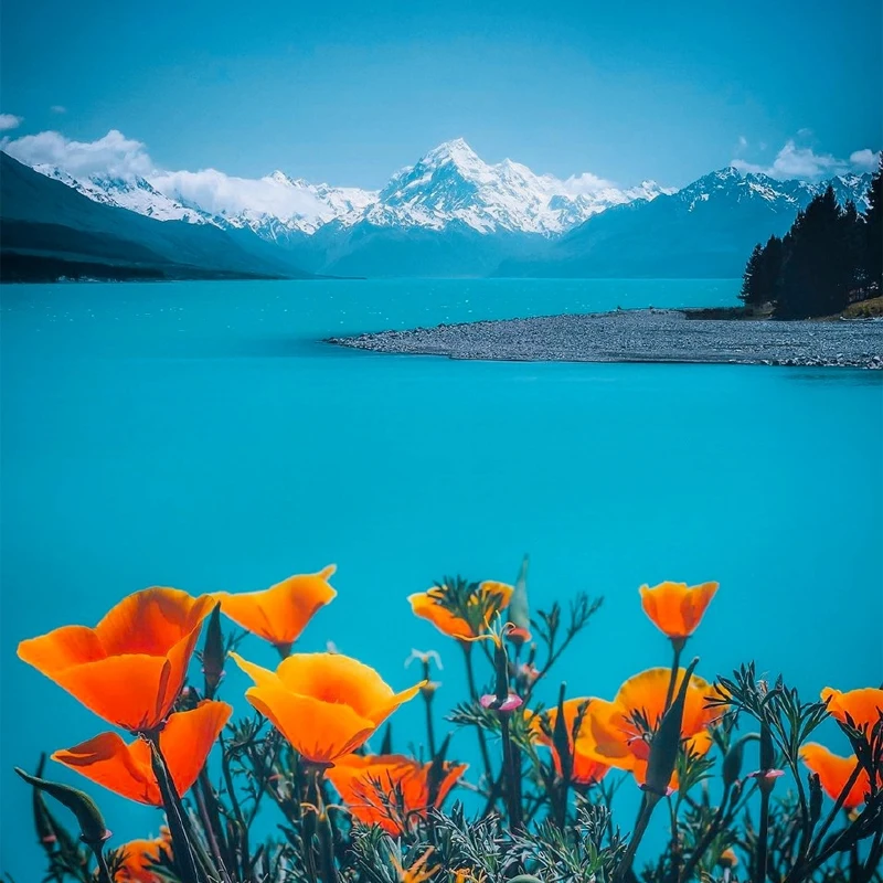 Чехол на руль с узором из углеродного волокна, противоскользящий, для Geely Coolray Atlas Emgrand Okavango Tugella Azkarra Boyue и т.д.
Чехол на руль с узором из углеродного волокна, противоскользящий, для Geely Coolray Atlas Emgrand Okavango Tugella Azkarra Boyue и т.д.