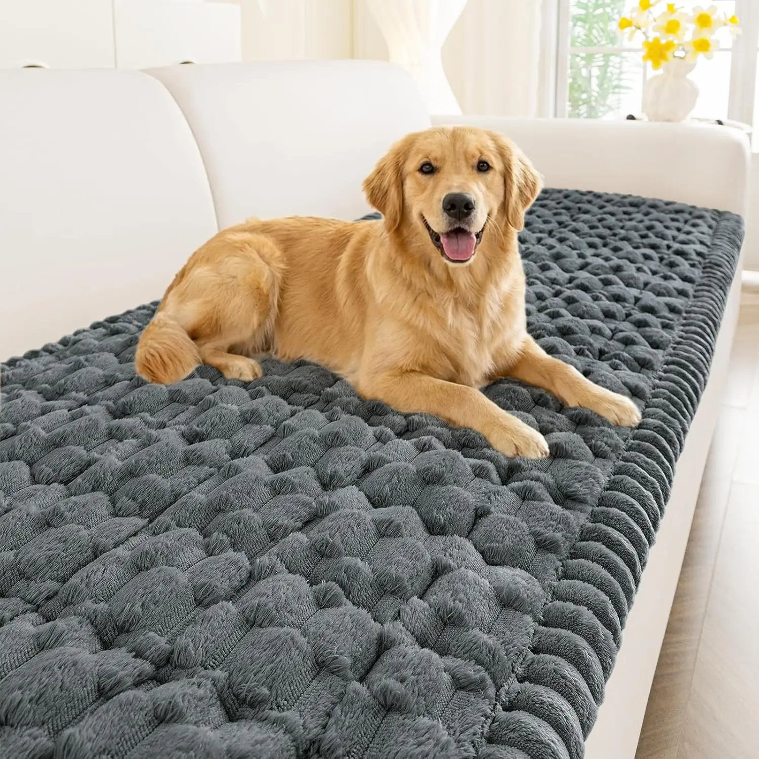Non Slip Pet Couch Covers for Sofa, Washable Furniture Protector, Soft Thick Sofa Slipcover, Dark Grey 27.6x82.7 in
Non Slip Pet Couch Covers for Sofa, Washable Furniture Protector, Soft Thick Sofa Slipcover, Dark Grey 27.6x82.7 in