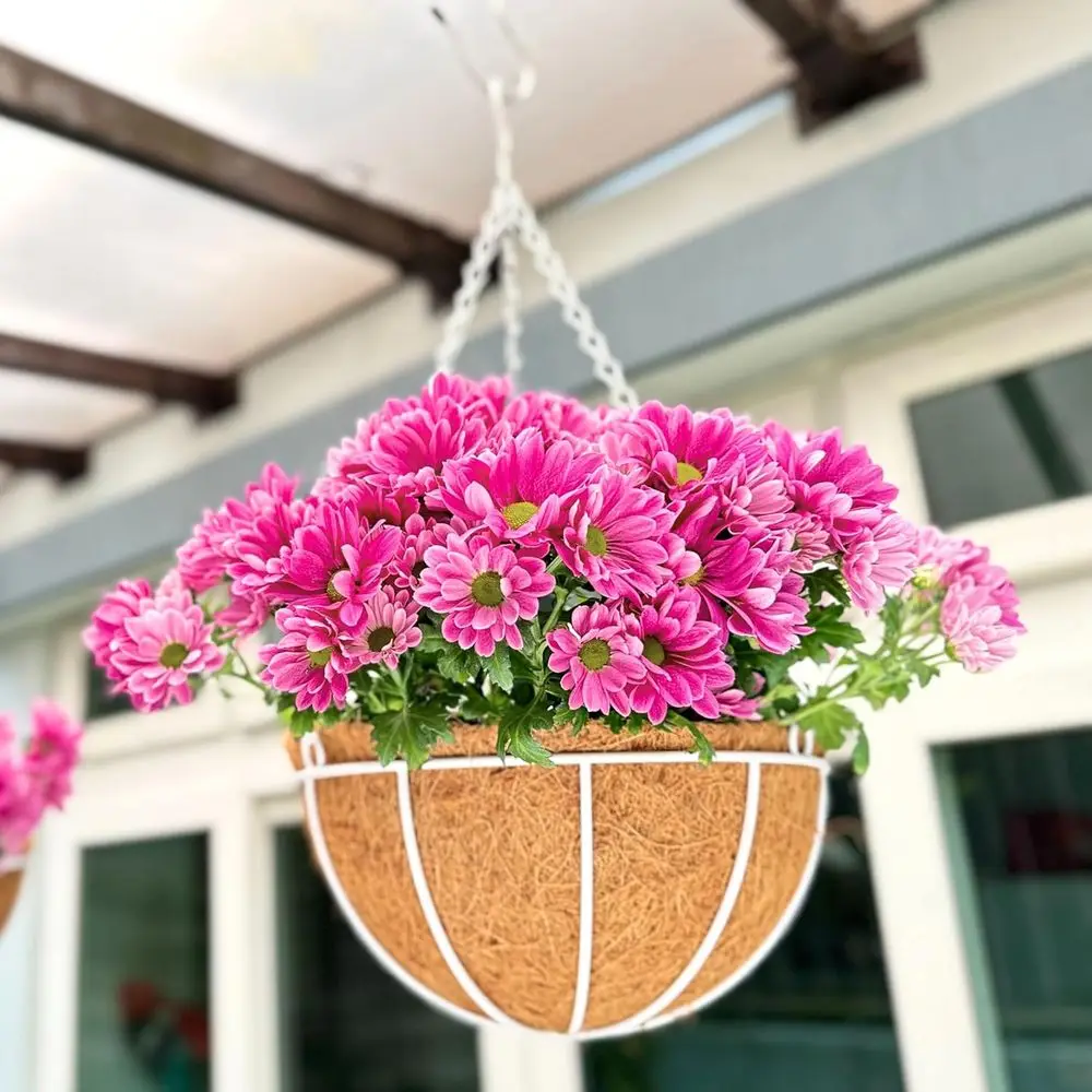 Extra Large 14 Inch White Hanging Planters with Liner, Black Metal Wire Holder for Outdoor Deck, Porch, Balcony Garden Decor
Extra Large 14 Inch White Hanging Planters with Liner, Black Metal Wire Holder for Outdoor Deck, Porch, Balcony Garden Decor