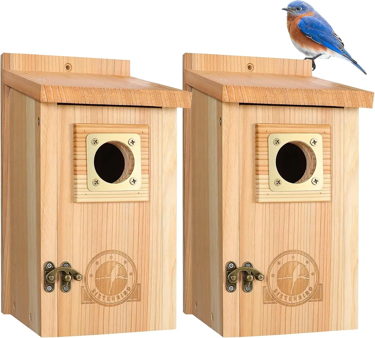 2 Pack Cedar Bird Houses with Copper Guard, Easy Assembly for Bluebirds, Finches & More
2 Pack Cedar Bird Houses with Copper Guard, Easy Assembly for Bluebirds, Finches & More