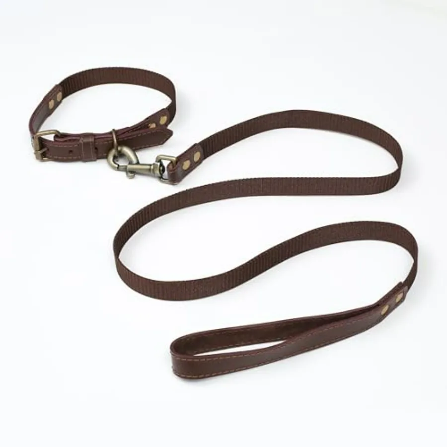 Heavy Duty Dog and Leash Set for Large Dogs - Adjustable"Leather Nylon with Durable 50" Leash, Metal Buckle and Handle - Trag,
Heavy Duty Dog and Leash Set for Large Dogs - Adjustable"Leather Nylon with Durable 50" Leash, Metal Buckle and Handle - Trag,