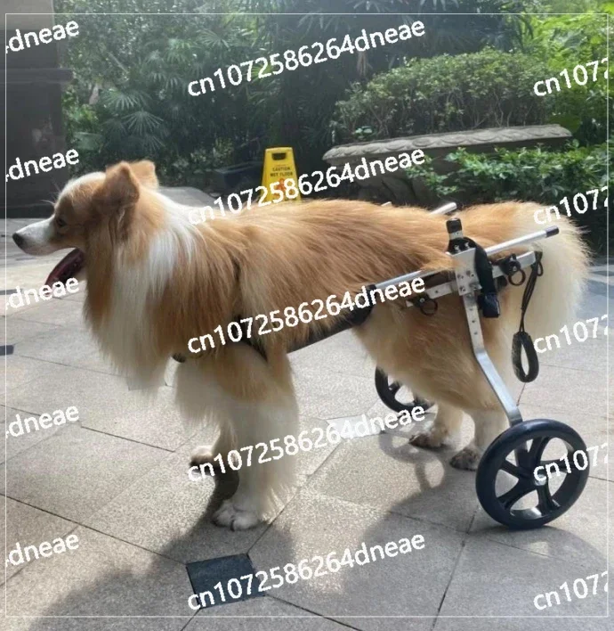 for Back Legs2 4 Wheel Pet Wheelchair Self-Locking Big Dog Carts Best Large Dog Rear Wheelchair 
for Back Legs2 4 Wheel Pet Wheelchair Self-Locking Big Dog Carts Best Large Dog Rear Wheelchair