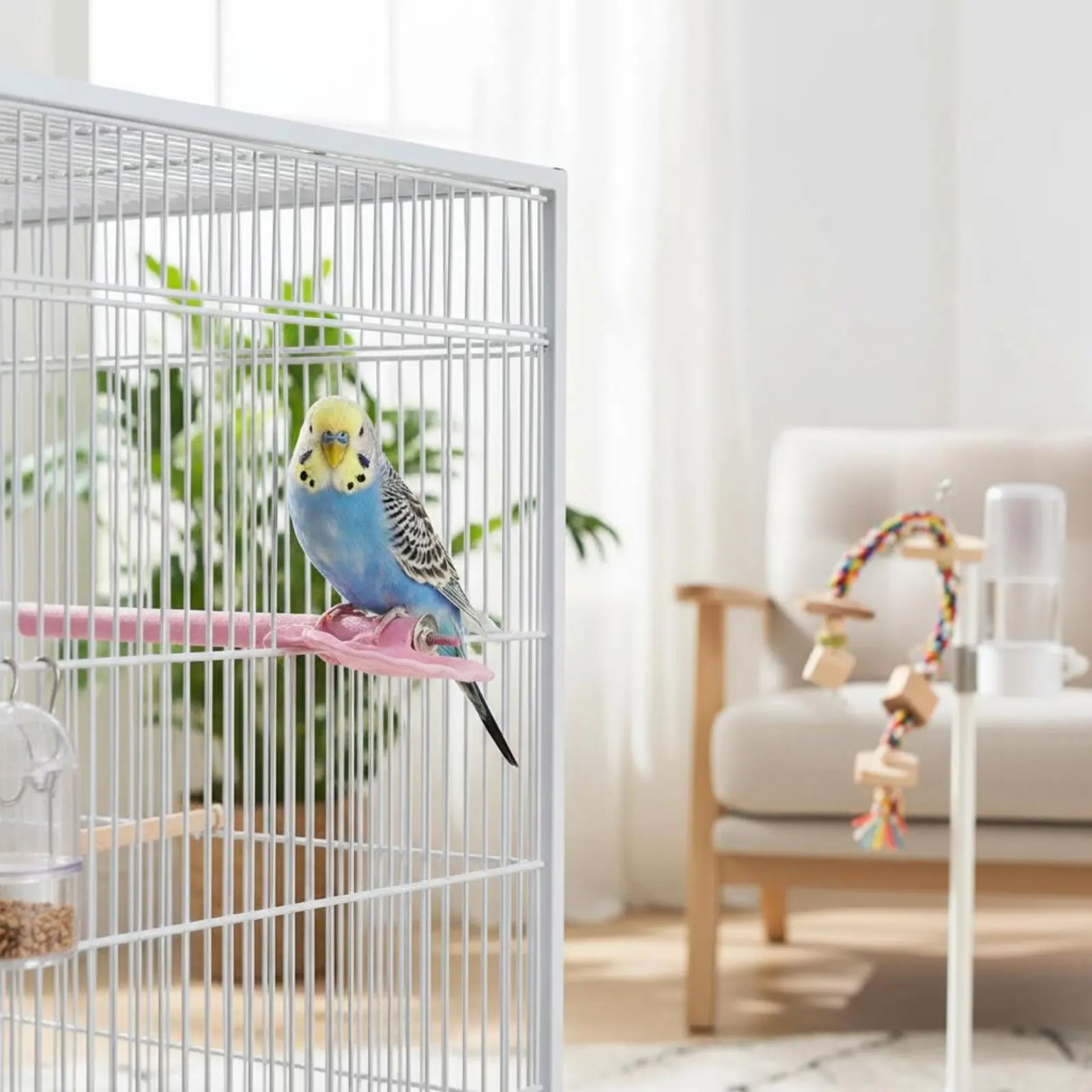 Shell-Shaped Bird Perch Easy to Clean Textured Bird Perch Non-Slip
Shell-Shaped Bird Perch Easy to Clean Textured Bird Perch Non-Slip