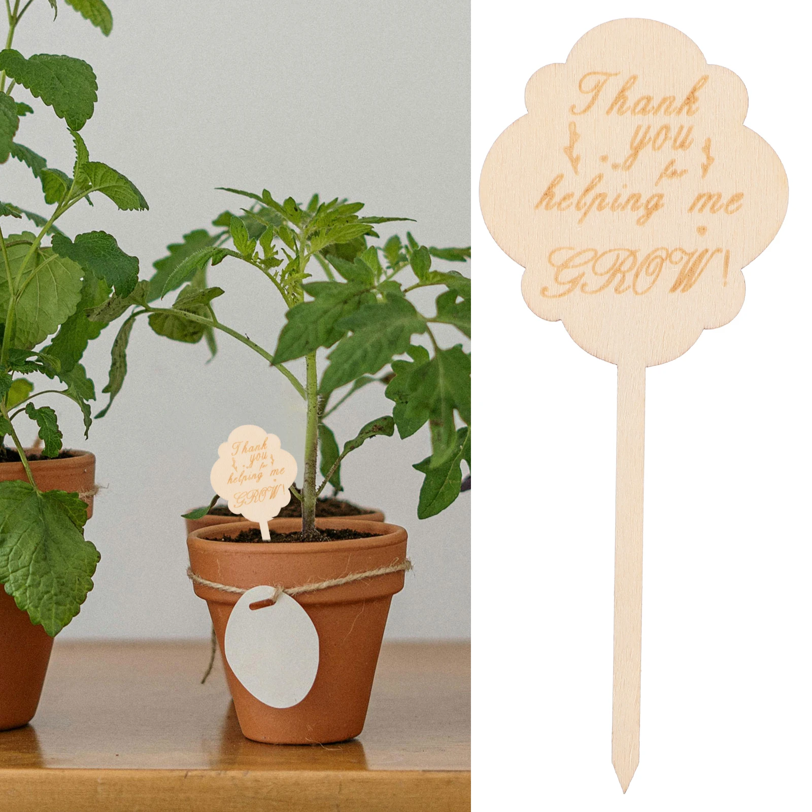 Gardening Card Insert Label Plant Name Tags Decorative Outdoor Flower Labels Blank
Gardening Card Insert Label Plant Name Tags Decorative Outdoor Flower Labels Blank
