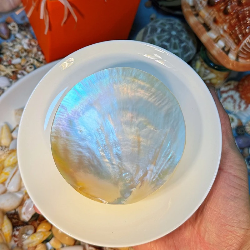 Super Bright Shell dish Natural Shell Plate Caviar Dessert Plate Shooting Props
Super Bright Shell dish Natural Shell Plate Caviar Dessert Plate Shooting Props