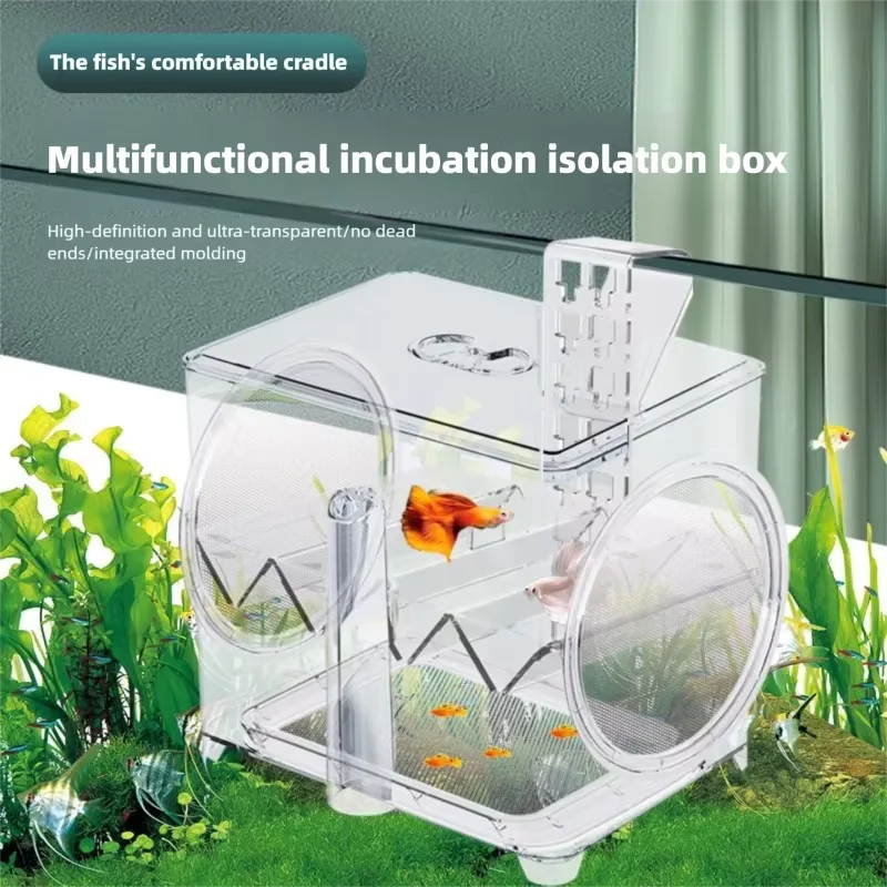 Fish tank hatching box acrylic breeding box fry isolation box mother fish guppy multifunctional incubator
Fish tank hatching box acrylic breeding box fry isolation box mother fish guppy multifunctional incubator