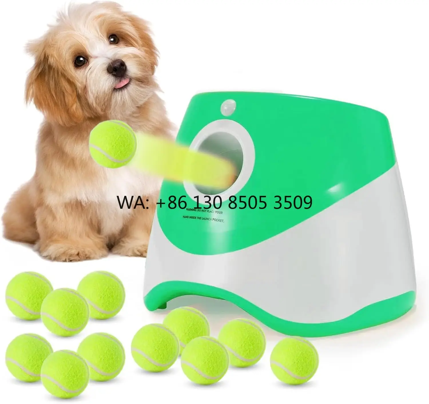 Factory Wholesale Dog Tennis Ball Launcher Plastic Bite Dog Training Toy with 3 Pcs Balls for 3M/6M/9M Distance Included
Factory Wholesale Dog Tennis Ball Launcher Plastic Bite Dog Training Toy with 3 Pcs Balls for 3M/6M/9M Distance Included