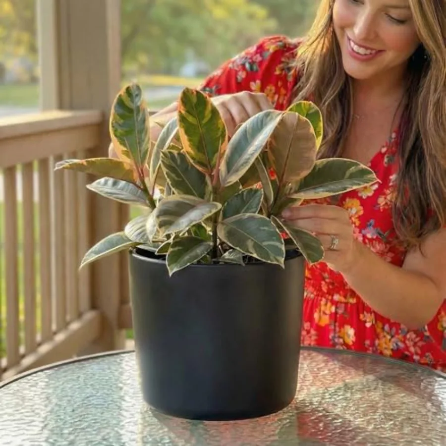 Ceramic Plant Pot with Drainage - Plant Pot for Indoor Plants, Flower Planter, Tall Modern Planter
Ceramic Plant Pot with Drainage - Plant Pot for Indoor Plants, Flower Planter, Tall Modern Planter