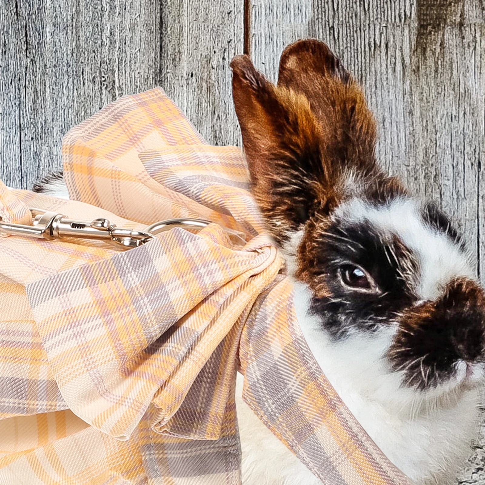 1pcs Vest Chest Strap Traction Rope Small Pets Bunny Harness Rabbit Leash Bow Design Adjustable Lightweight Comfortable Pet
1pcs Vest Chest Strap Traction Rope Small Pets Bunny Harness Rabbit Leash Bow Design Adjustable Lightweight Comfortable Pet