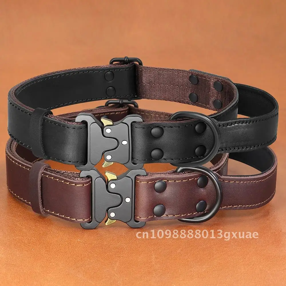 Real Leather Dog Collar With Handle Tactical Military Dog Hunting German Training Large Dogs Collar Leather For Medium Shepherd
Real Leather Dog Collar With Handle Tactical Military Dog Hunting German Training Large Dogs Collar Leather For Medium Shepherd