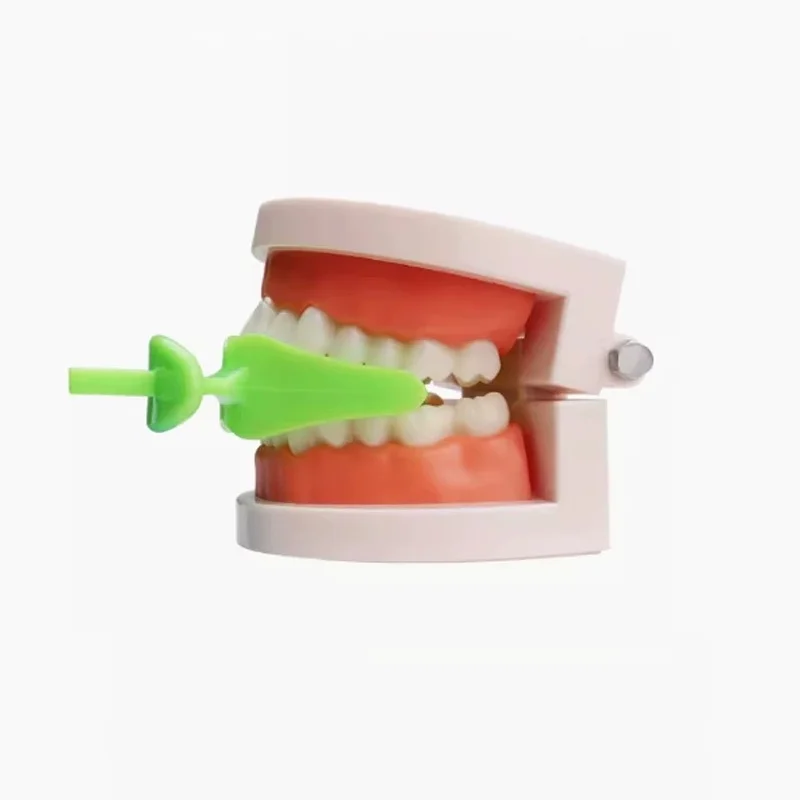 Dentistry Oral Centric Tray Impression Trays Occlusal Record Articulator Facebow Autoclavable
Dentistry Oral Centric Tray Impression Trays Occlusal Record Articulator Facebow Autoclavable