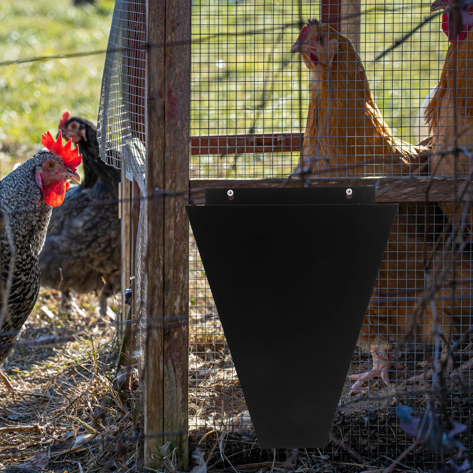 Metal Poultry Restraint Cone Bleeding Funnel Suitable for Small Roosters Large Chickens Slaughtering Processing Tools
Metal Poultry Restraint Cone Bleeding Funnel Suitable for Small Roosters Large Chickens Slaughtering Processing Tools