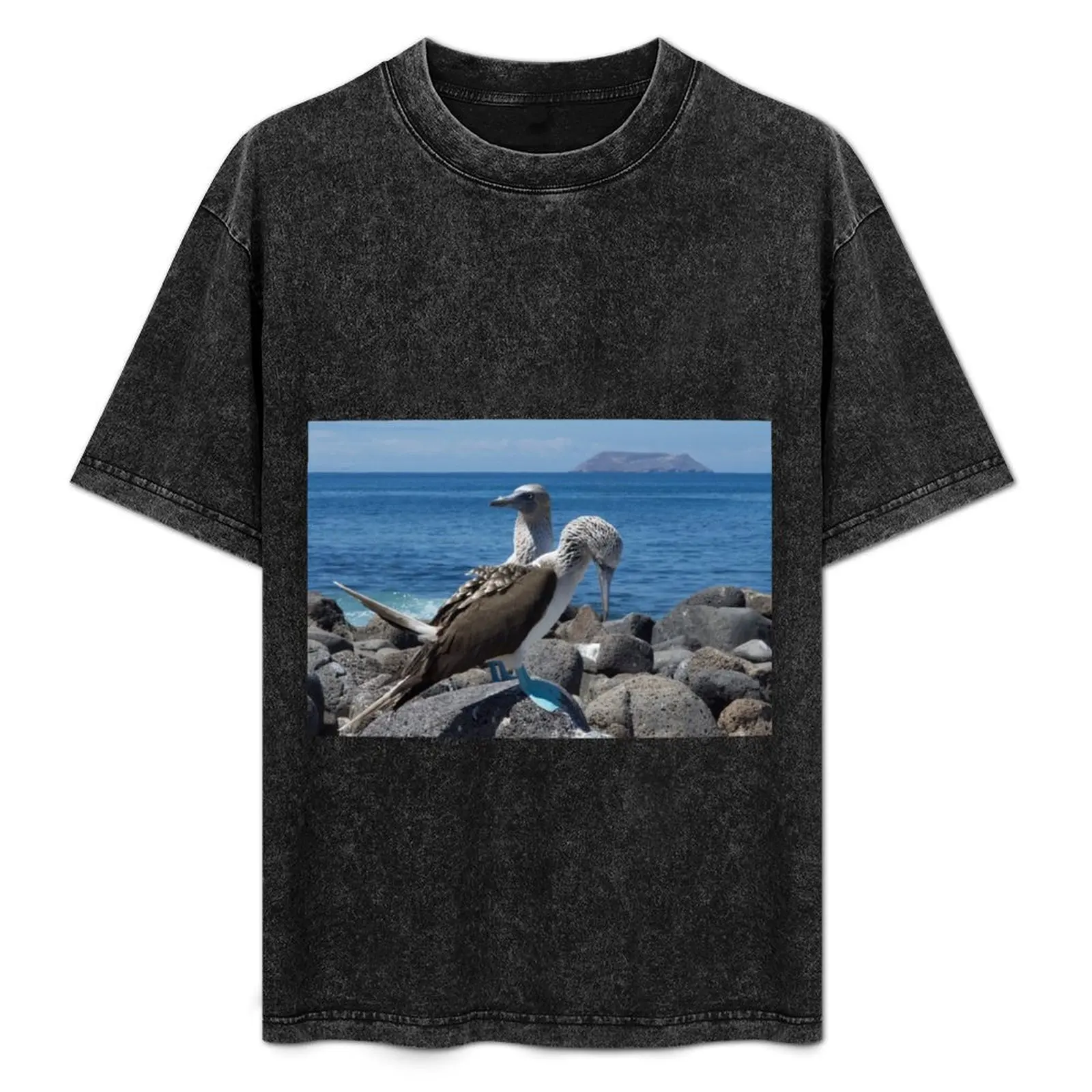 Galápagos Blue-footed Boobies T-Shirt Big and Tall Loose Fit T-Shirt
Galápagos Blue-footed Boobies T-Shirt Big and Tall Loose Fit T-Shirt