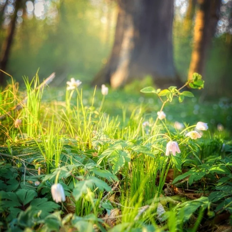 Защитная пластина для брони шасси, детали для обновления радиоуправляемого автомобиля, детали из нержавеющей стали для Yikong DF7 1/7, грузовик с коротким курсом 
Защитная пластина для брони шасси, детали для обновления радиоуправляемого автомобиля, детали из нержавеющей стали для Yikong DF7 1/7, грузовик с коротким курсом