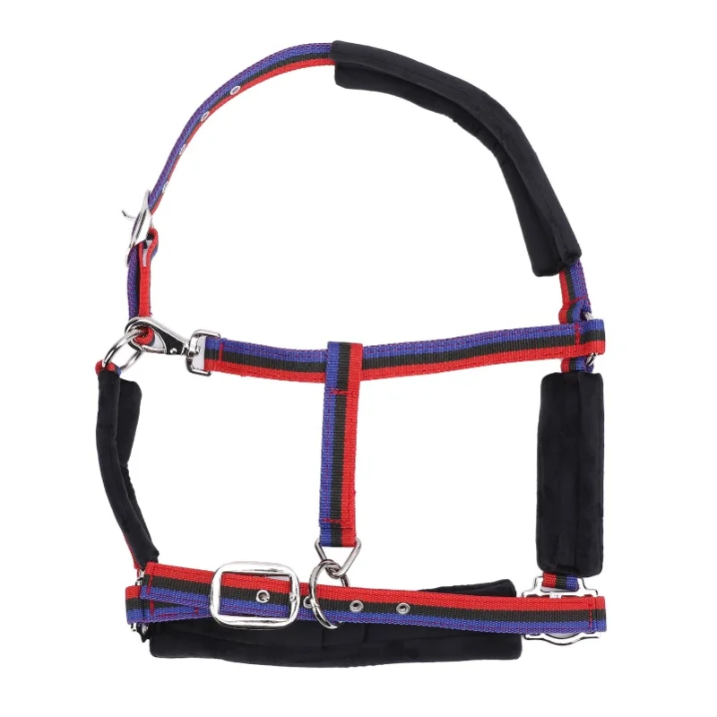 Horse Halter Wearproof Nylon Comfortable Adjustable Chin And Throat Snap Halter For Training Equestrian Large Suitable For 1.35
Horse Halter Wearproof Nylon Comfortable Adjustable Chin And Throat Snap Halter For Training Equestrian Large Suitable For 1.35