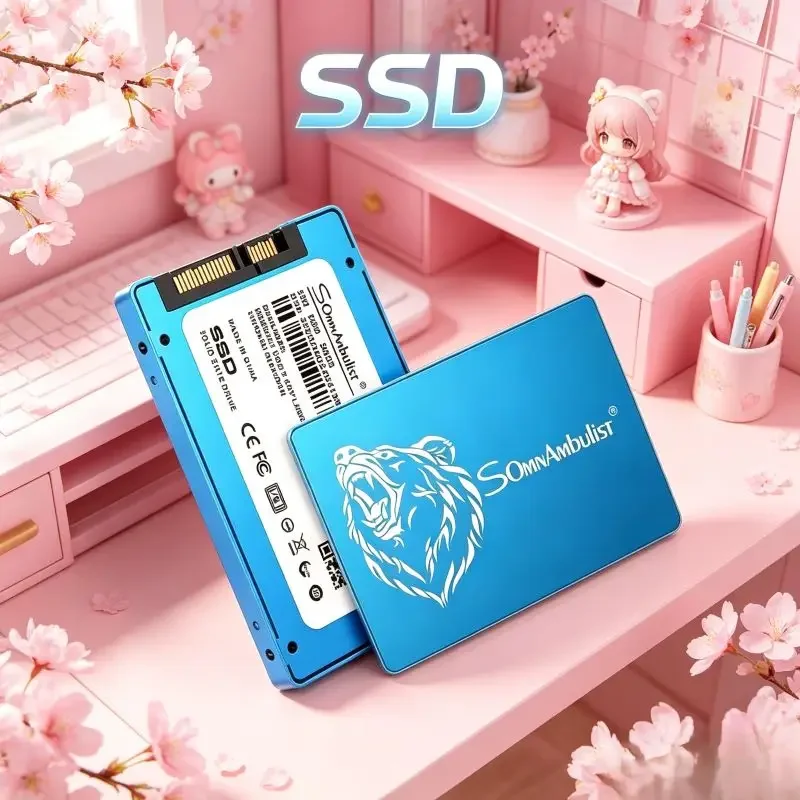 Meet Varied Storage Demands of Desktop Computer Via Rapid SomnAmbulist 2.5 SATA3 SSD Equipped with Comprehensive Multiple
Meet Varied Storage Demands of Desktop Computer Via Rapid SomnAmbulist 2.5 SATA3 SSD Equipped with Comprehensive Multiple