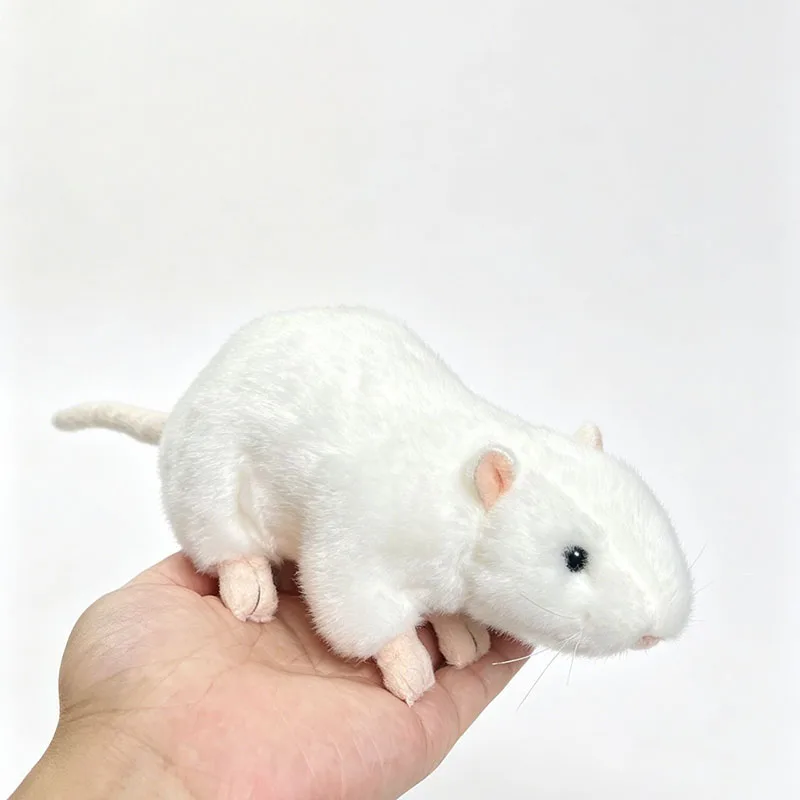Realistic White Rat Plush Toy Soft Fluffy Stuffed Animal Doll Simulation Mouse for Kids Gift for Girls Friends Family Kawaii
Realistic White Rat Plush Toy Soft Fluffy Stuffed Animal Doll Simulation Mouse for Kids Gift for Girls Friends Family Kawaii