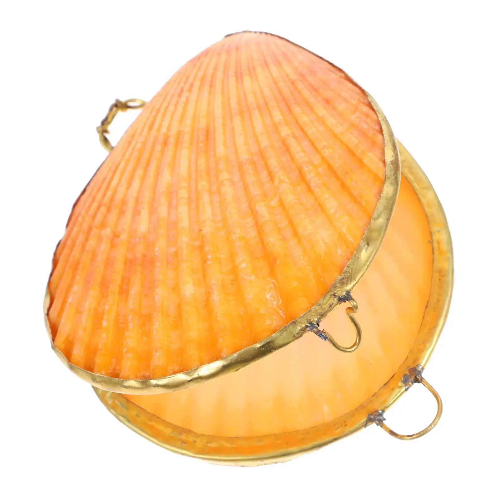 Natural Shell Storage Box Seashells Jewelry Container Color Earring Holder Durable Impact Resistant Decorative Trinket
Natural Shell Storage Box Seashells Jewelry Container Color Earring Holder Durable Impact Resistant Decorative Trinket