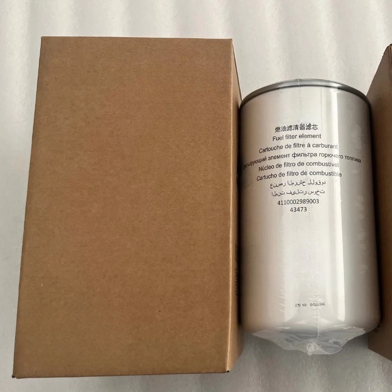 For SDLG 4110002989003 Fuel Filter Components Fast Delivery
For SDLG 4110002989003 Fuel Filter Components Fast Delivery