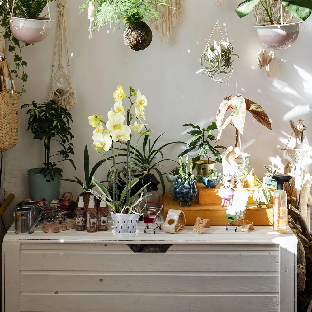 2Sets Transparent Plastic Orchid Pots Breathable Nursery Flower Pots with Base Tray for Healthy Plant Growth Flower
2Sets Transparent Plastic Orchid Pots Breathable Nursery Flower Pots with Base Tray for Healthy Plant Growth Flower