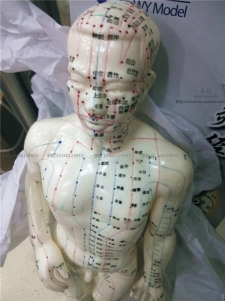 48CM chinese human acupuncture meridian points model male or female acupoint model with user manual man momen Acupoint Model
48CM chinese human acupuncture meridian points model male or female acupoint model with user manual man momen Acupoint Model