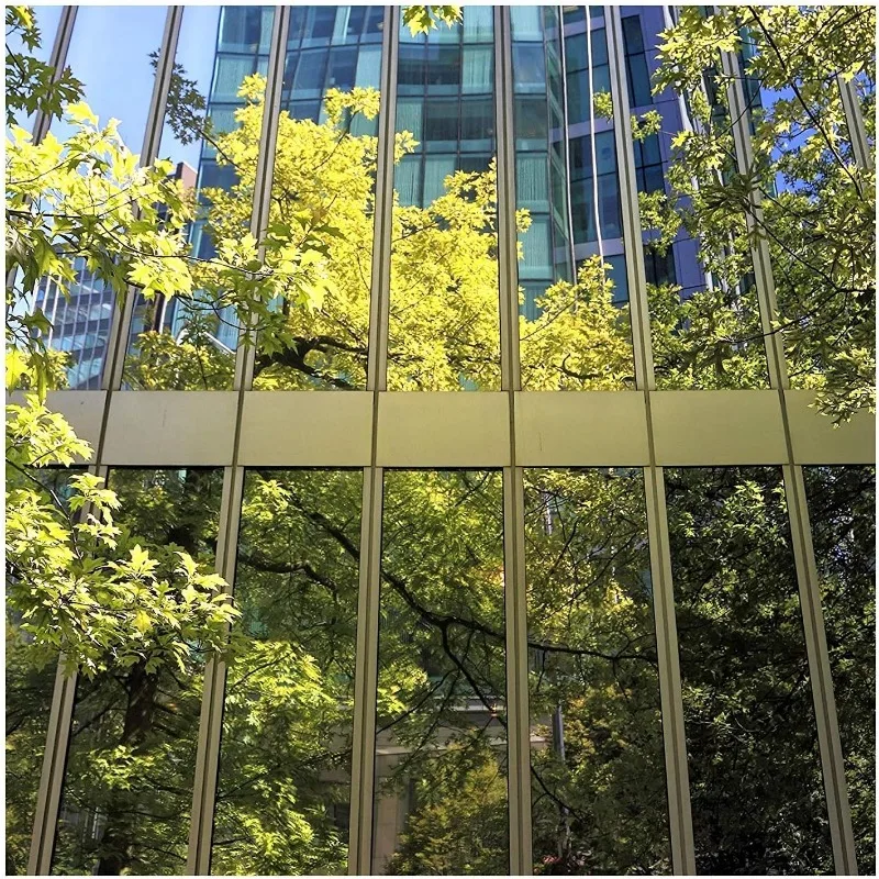 Privacy Window Film One Way Window Tint for Home Sun Blocking Heat & Anti UV Daytime Mirror Window Privacy See Out Not in Windo
Privacy Window Film One Way Window Tint for Home Sun Blocking Heat & Anti UV Daytime Mirror Window Privacy See Out Not in Windo