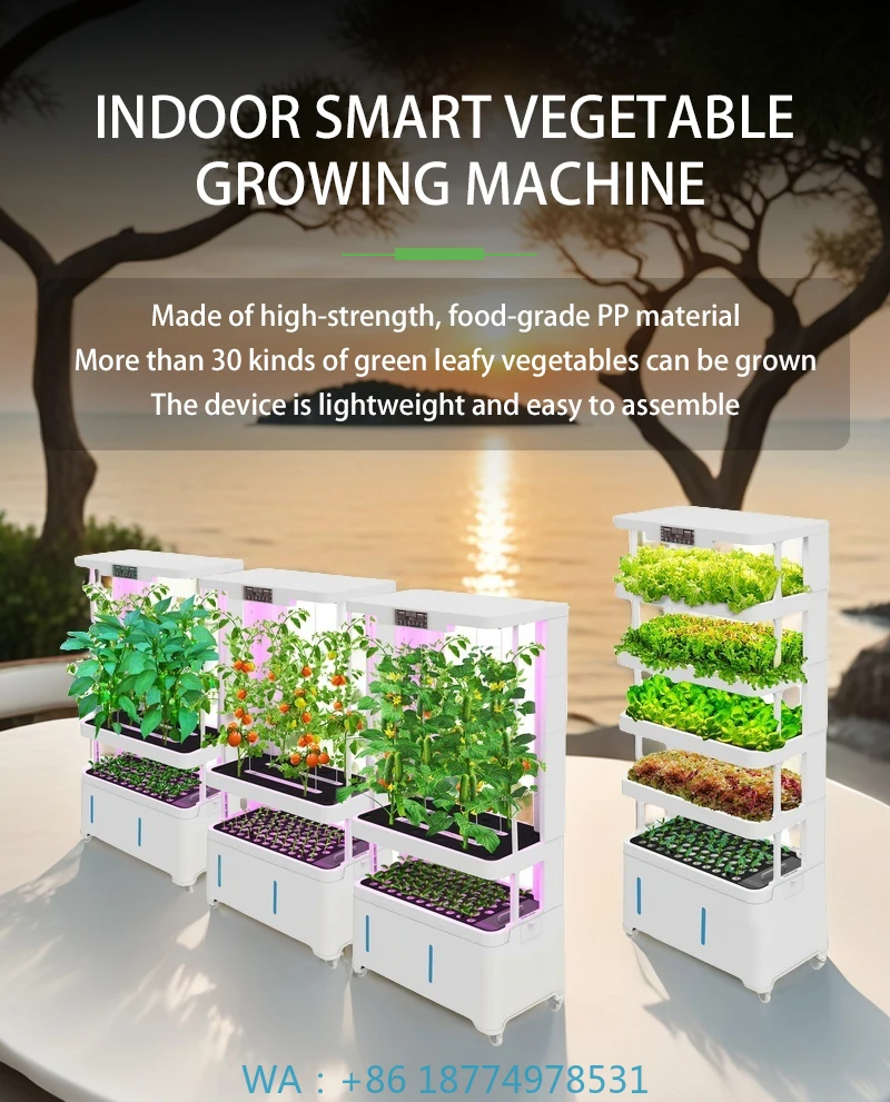 144-горшок, автоматический интеллектуальный светодиодный светильник для роста, водяной круг, домашнее гидропонное оборудование для посадки, умное беспочвенное выращивание
144-горшок, автоматический интеллектуальный светодиодный светильник для роста, водяной круг, домашнее гидропонное оборудование для посадки, умное беспочвенное выращивание