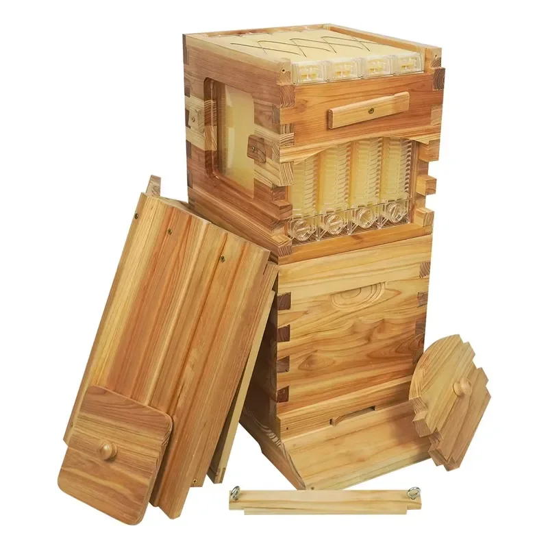 Honeybee Box Automatic Flowing Beehive Auto Full Honey Bee Hive 2
Honeybee Box Automatic Flowing Beehive Auto Full Honey Bee Hive 2