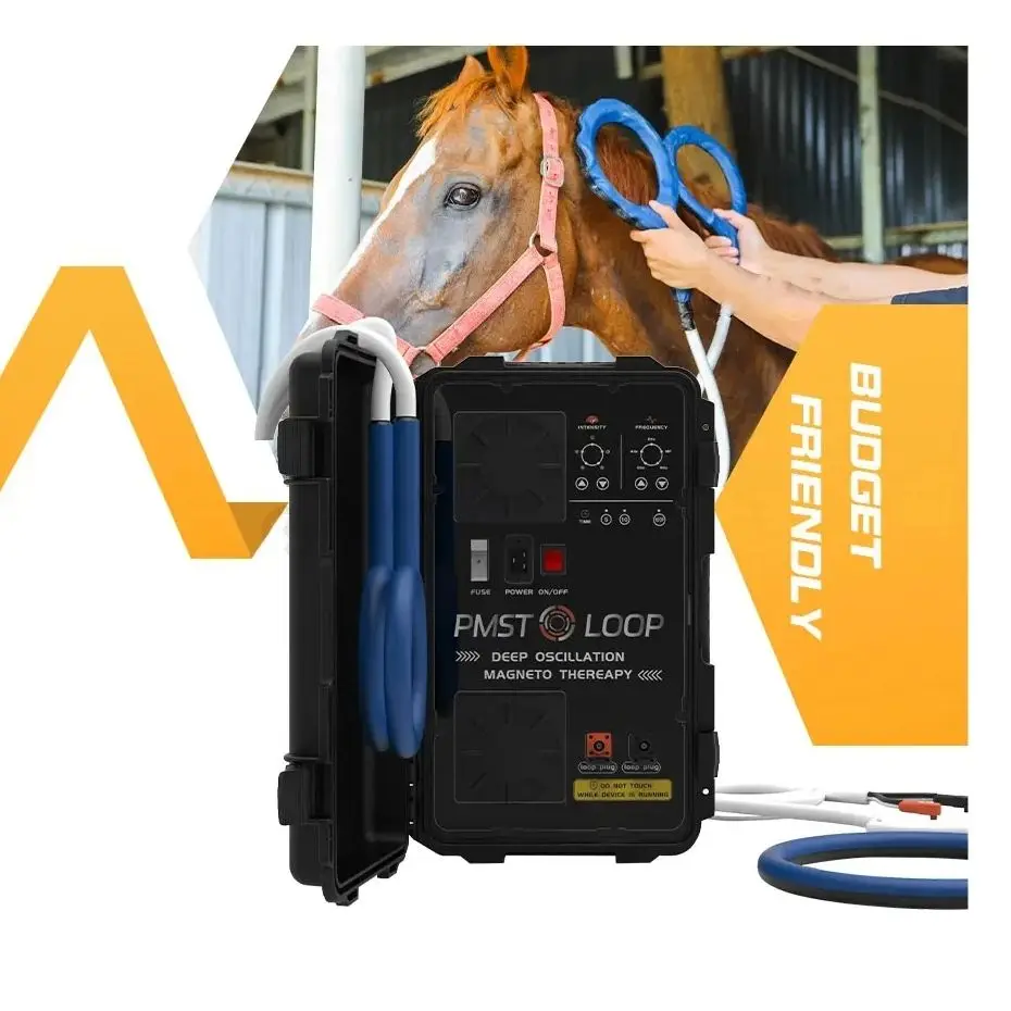 Veterinary Equinpment Horse Health Care Magnetic Therapy Machine Pmst Loop For Horse Pain Relief And Bones Repair Physio Magneto
Veterinary Equinpment Horse Health Care Magnetic Therapy Machine Pmst Loop For Horse Pain Relief And Bones Repair Physio Magneto
