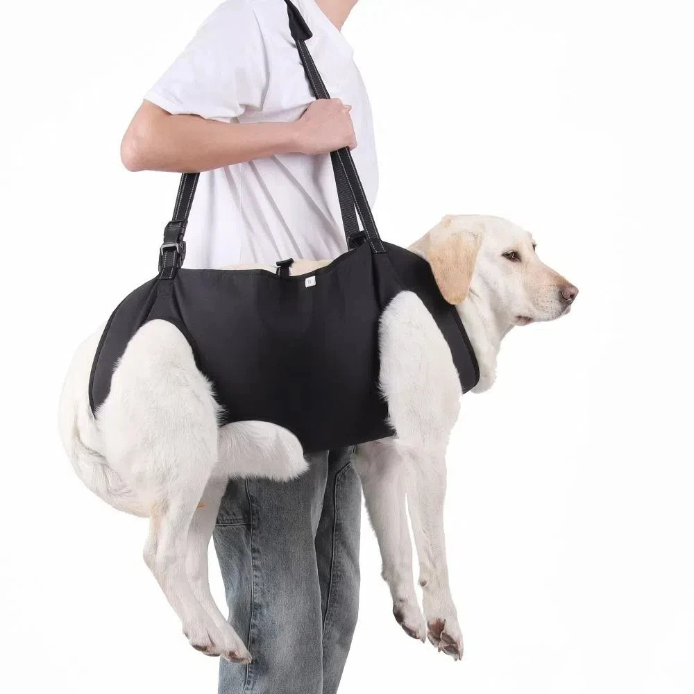 Adjustable Strap Dog Lift Harness Thicken Handle Portable Dog Sling Carrier Legs Support Soft Lining Pet Lifting Vest
Adjustable Strap Dog Lift Harness Thicken Handle Portable Dog Sling Carrier Legs Support Soft Lining Pet Lifting Vest