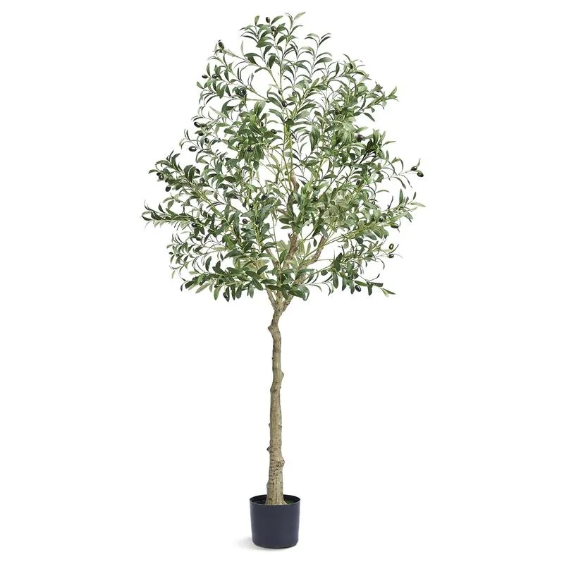 6 FT Lifelike Faux Olive Tree in Pot, PE Material, Anti-Tip Design, Low-Maintenance Indoor Outdoor Decor
6 FT Lifelike Faux Olive Tree in Pot, PE Material, Anti-Tip Design, Low-Maintenance Indoor Outdoor Decor