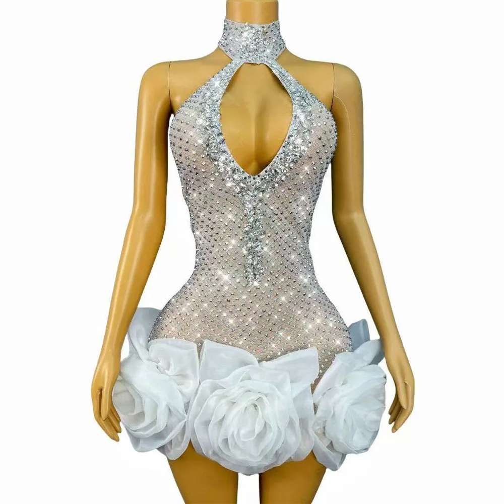 Мини-платье с вырезом на шее и цветочным принтом, мерцающее серебряное платье со стразами и розой, с открытой спиной, женское вечернее платье для шоу, сценическая одежда
Мини-платье с вырезом на шее и цветочным принтом, мерцающее серебряное платье со стразами и розой, с открытой спиной, женское вечернее платье для шоу, сценическая одежда