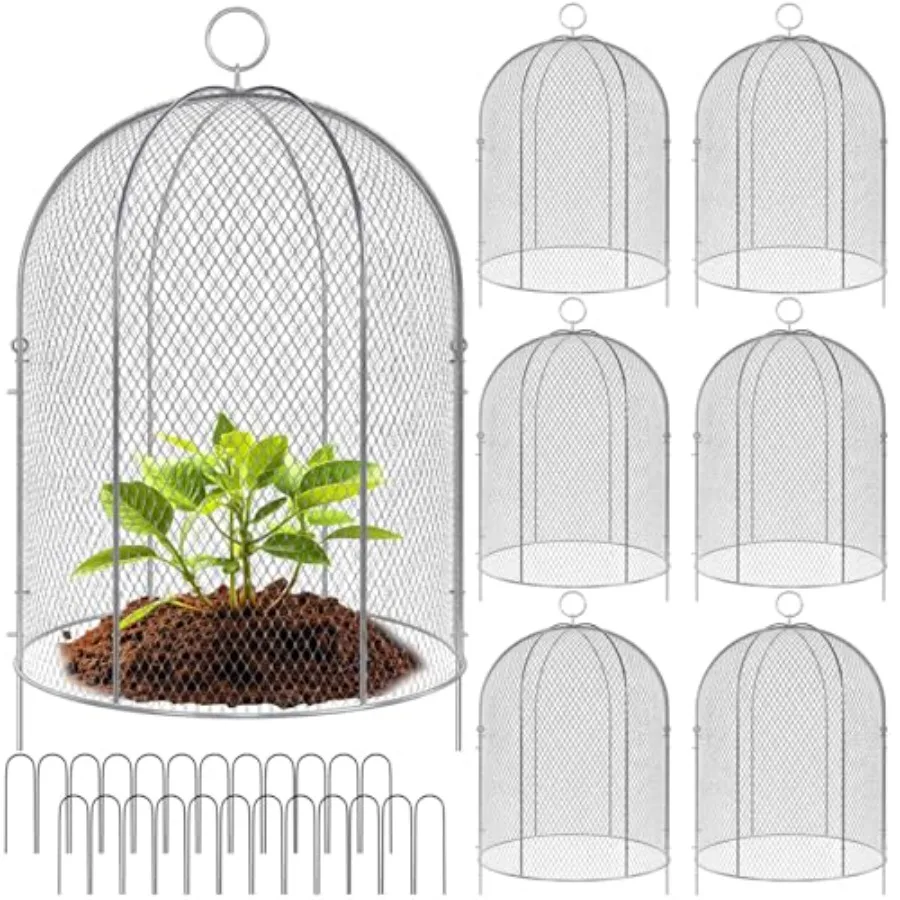 Pack Garden Cloches for Plants 1 x 1 with Stakes Zip Ties, Plant Covers from Animals Large Metal Mesh Chicken Wire Cloche Plant
Pack Garden Cloches for Plants 1 x 1 with Stakes Zip Ties, Plant Covers from Animals Large Metal Mesh Chicken Wire Cloche Plant