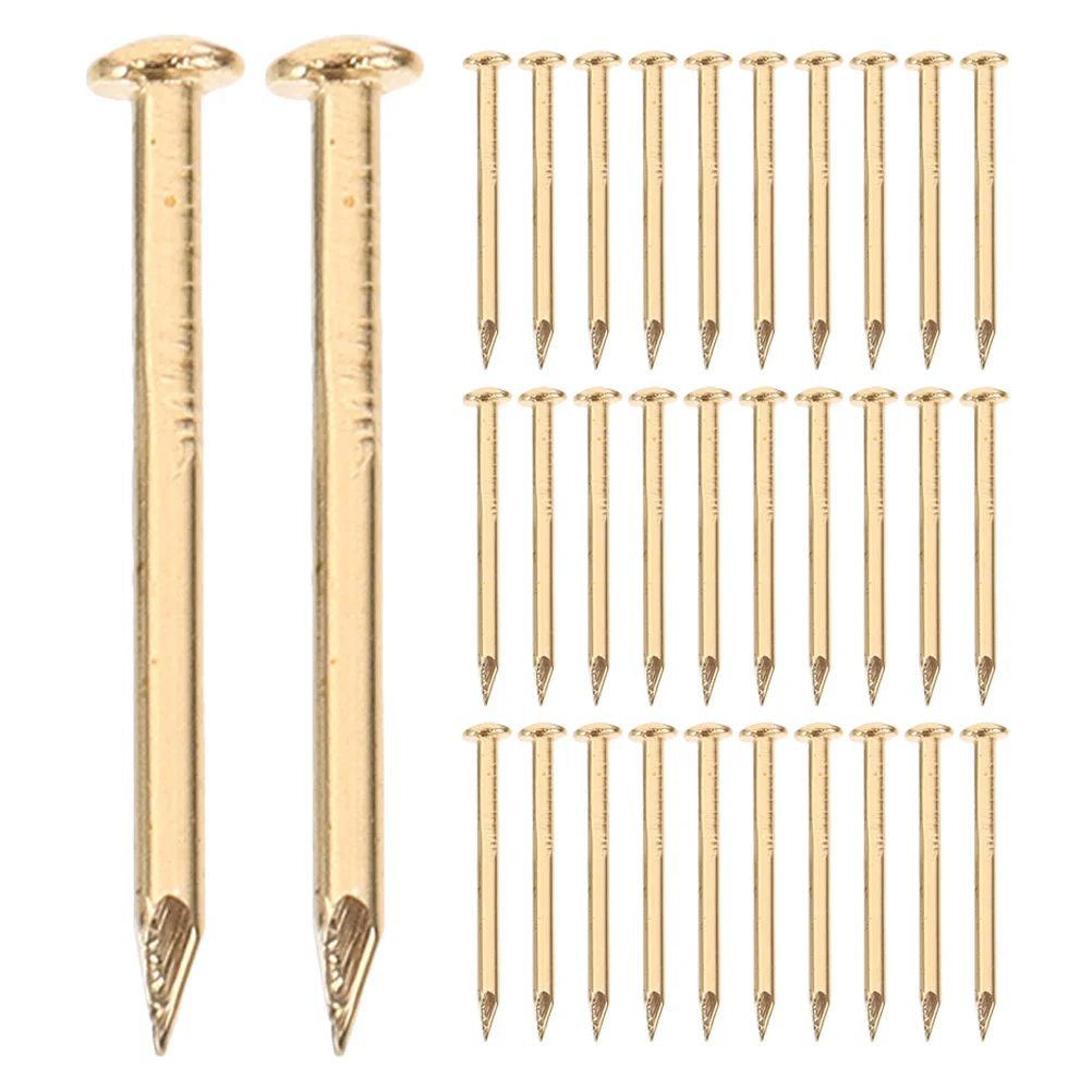 200 Pcs Brass Nails Home Metal Round Head Copper Picture Fixing Furniture Accesories Decorative Hanging for Tacks
200 Pcs Brass Nails Home Metal Round Head Copper Picture Fixing Furniture Accesories Decorative Hanging for Tacks