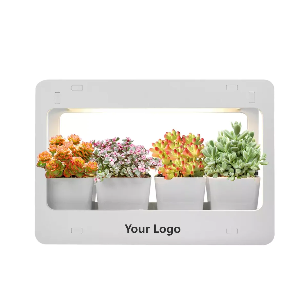 LED Metal indoor Garden for plants indoor herb growing system grow lights for indoor smart herb garden kit
LED Metal indoor Garden for plants indoor herb growing system grow lights for indoor smart herb garden kit