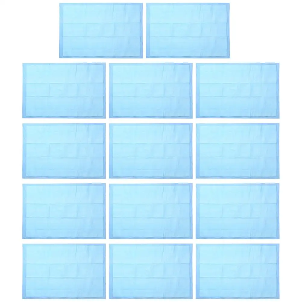 50 Pcs Pet Pee Mat Changing Professional Dog Pad Supplies Puppy Pads for Cat Dogs Major Small
50 Pcs Pet Pee Mat Changing Professional Dog Pad Supplies Puppy Pads for Cat Dogs Major Small
