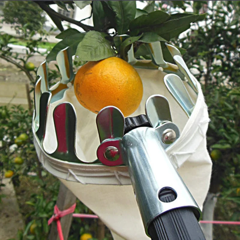 Durable Metal Fruit Picker Convenient Fabric Orchard Apple Peach High Picking Tree Horticultural Fruit Picker Gardening Supplies
Durable Metal Fruit Picker Convenient Fabric Orchard Apple Peach High Picking Tree Horticultural Fruit Picker Gardening Supplies