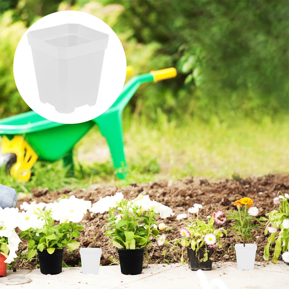 20 Pcs Square Plant Seedling Pot Mini Liners Outdoor Growers Plastic Nursery Pots Planting Artificial
20 Pcs Square Plant Seedling Pot Mini Liners Outdoor Growers Plastic Nursery Pots Planting Artificial