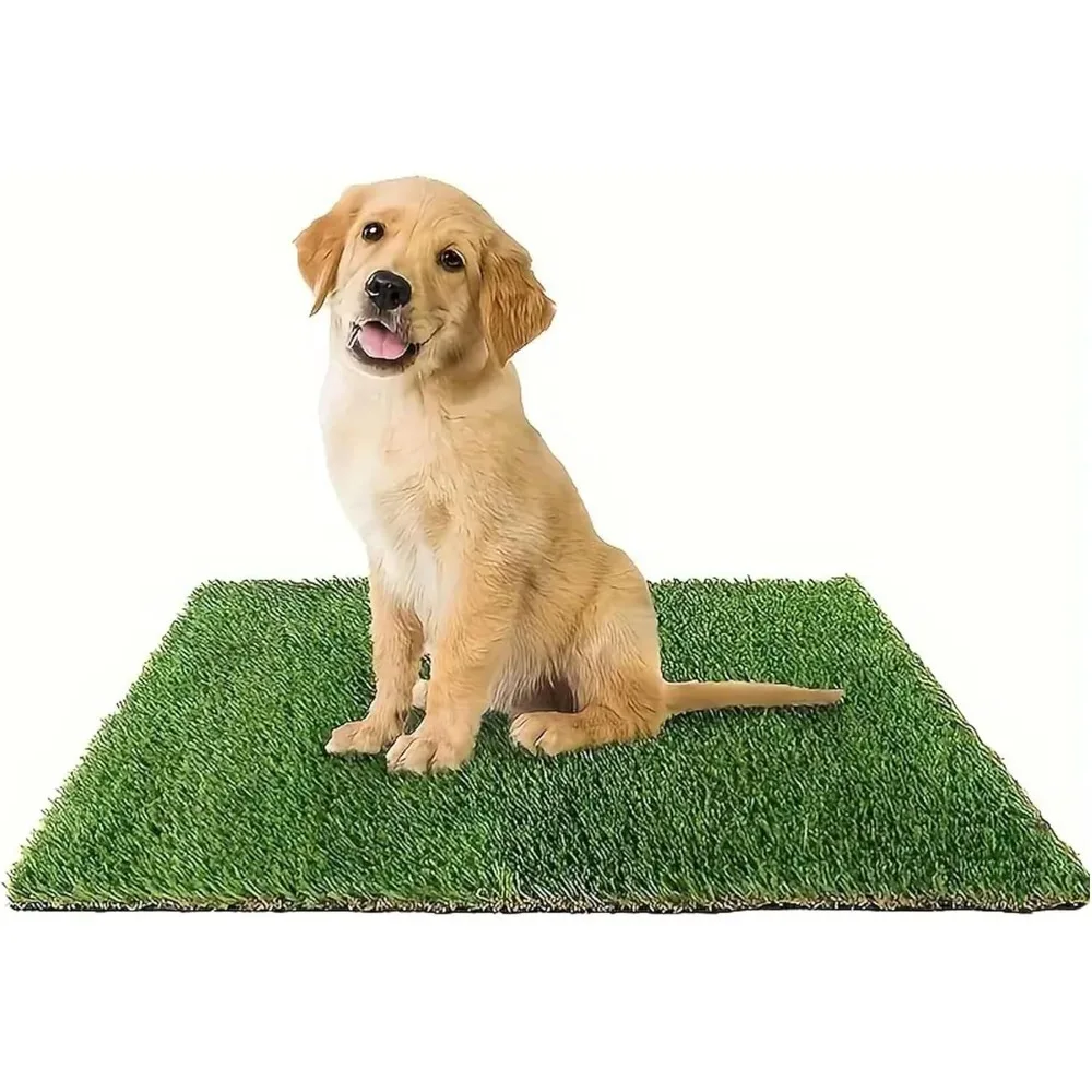 40 * 3ft Synthetic Grass - Fake + Pet Grass Carpet for Indoor/Outdoor Use - Mud Mat for Patio, Backyard & Porch
40 * 3ft Synthetic Grass - Fake + Pet Grass Carpet for Indoor/Outdoor Use - Mud Mat for Patio, Backyard & Porch