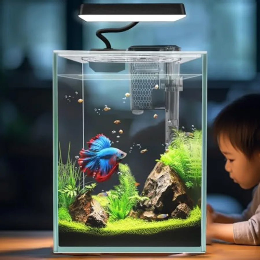 Ultra White Glass Betta Aquarium Starter Kits 1.5 Gallon Small Fish Tank, Betta Fish Tank with LED Light, Power Filter, 4mm Gla
Ultra White Glass Betta Aquarium Starter Kits 1.5 Gallon Small Fish Tank, Betta Fish Tank with LED Light, Power Filter, 4mm Gla