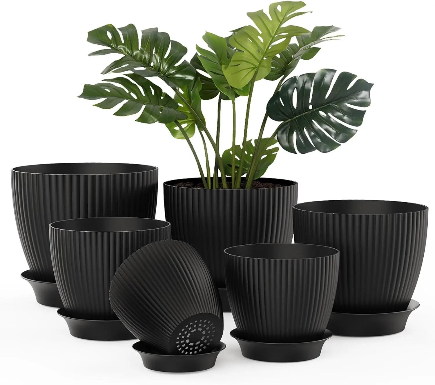 Plant Pots Indoor, Flower Pot with Drainage Holes and Tray, Plastic Planter for House
Plant Pots Indoor, Flower Pot with Drainage Holes and Tray, Plastic Planter for House