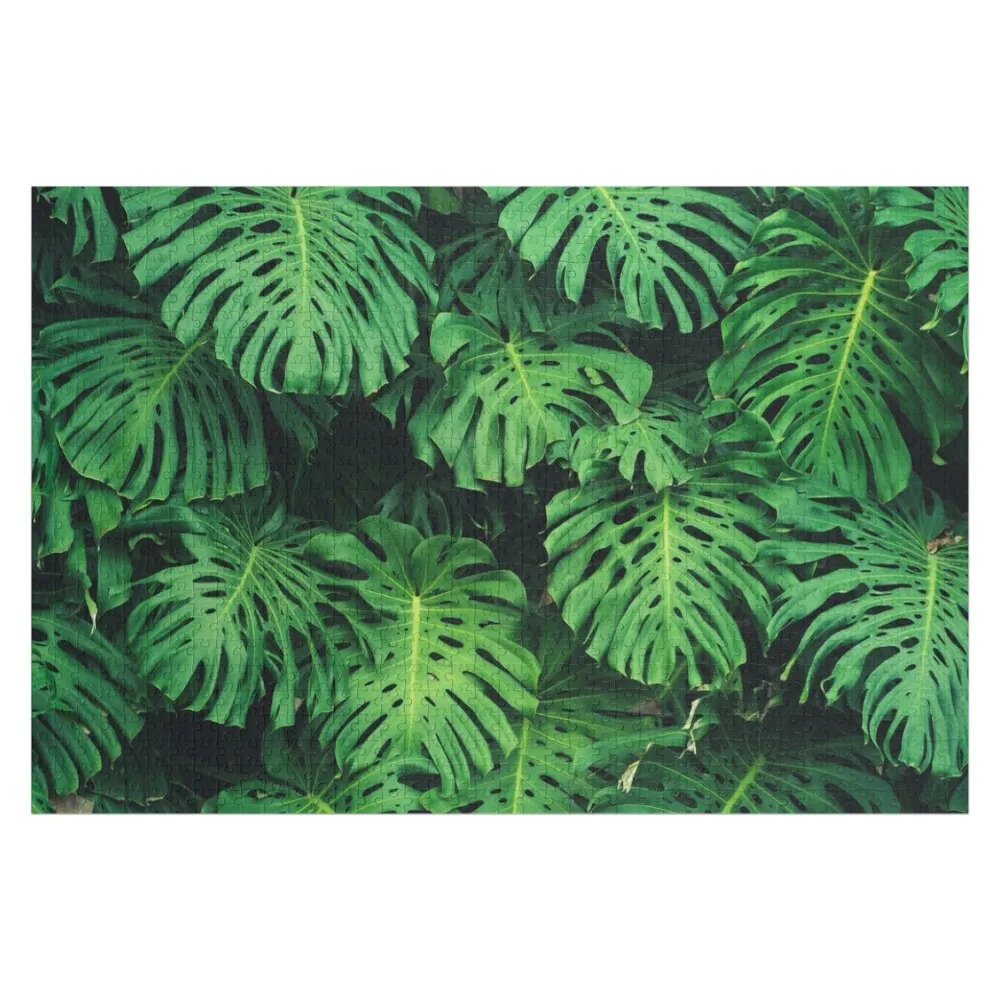 Monstera leaf jungle pattern - Philodendron plant leaves background Jigsaw Puzzle Custom Wood Wooden Boxes Puzzle
Monstera leaf jungle pattern - Philodendron plant leaves background Jigsaw Puzzle Custom Wood Wooden Boxes Puzzle