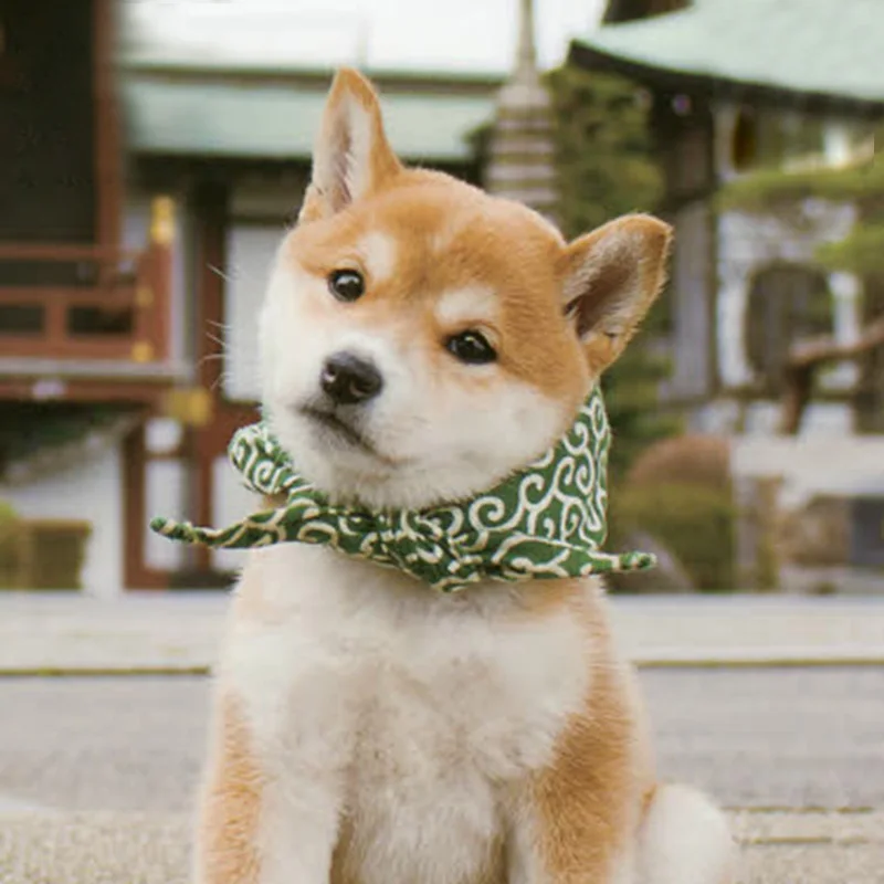 2025 New Cat Away From Home Baggage Cute Pillow Head Shiba Inu Akita Tangweed Scarf Quirky Dog Collar Clothes Collar
2025 New Cat Away From Home Baggage Cute Pillow Head Shiba Inu Akita Tangweed Scarf Quirky Dog Collar Clothes Collar