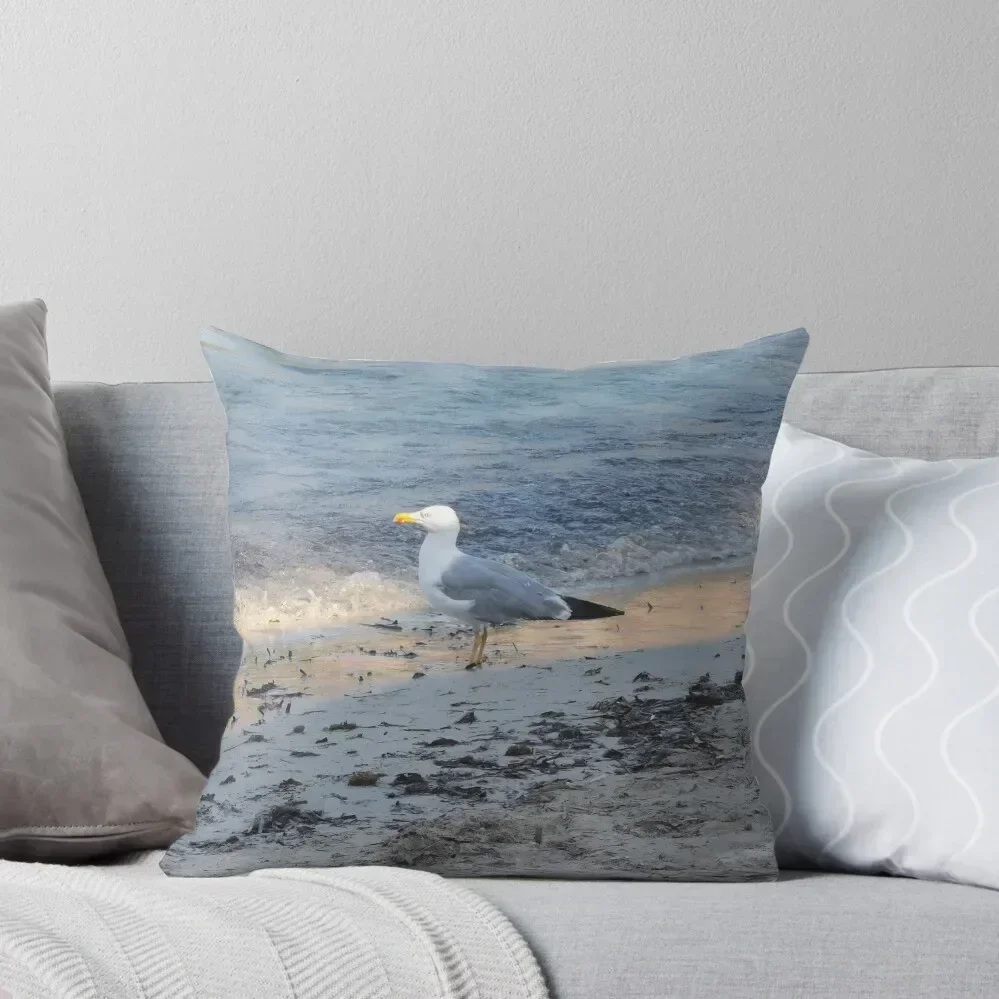 Seagull's beach Throw Pillow Decorative Cushion Cover Pillow Case Decorative Cushions For Living Room pillow
Seagull's beach Throw Pillow Decorative Cushion Cover Pillow Case Decorative Cushions For Living Room pillow